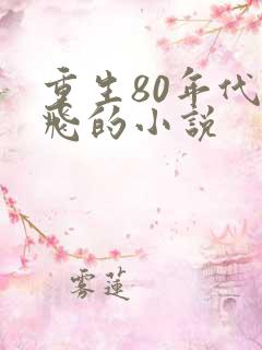 重生80年代秦飞的小说