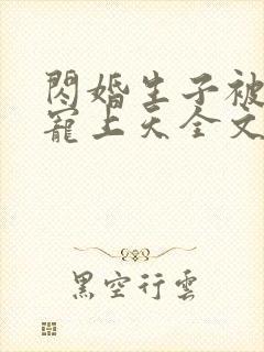 闪婚生子被老公宠上天全文免费阅读