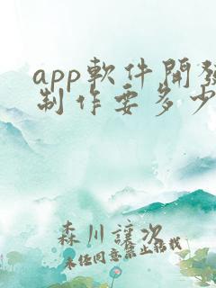 app软件开发制作要多少钱