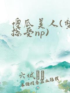 傻瓜美人(双性总受np)