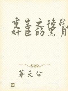 重生之后我成了奸臣的黑月光