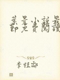 叶晨小说最新章节免费阅读全文
