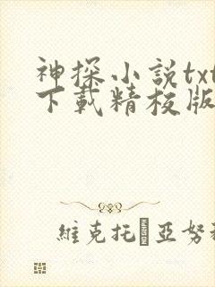 神探小说txt下载精校版