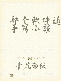 哪个软件适合新手写小说