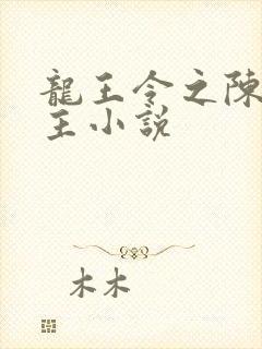 龙王令之陈平殿主小说