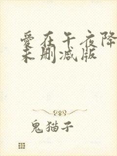 爱在午夜降临前未删减版