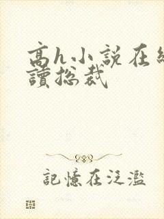 高h小说在线阅读总裁