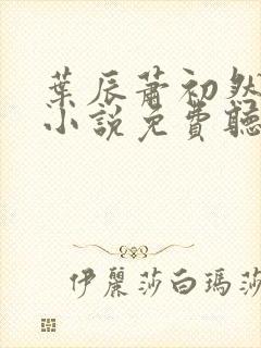 叶辰萧初然有声小说免费听