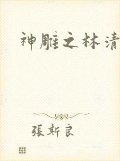 神雕之林清传