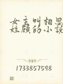 女主叫相思男主姓顾的小说