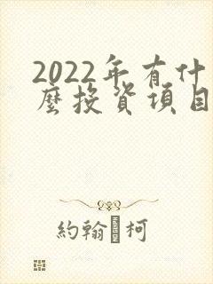 2022年有什么投资项目可以挣钱