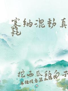 塞纳混动真实油耗