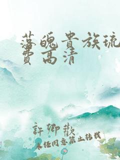 落魄贵族琉璃免费高清