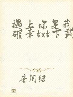 遇上你是我的小确幸txt下载