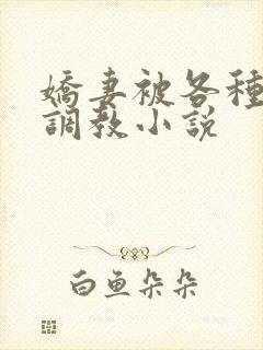 娇妻被各种刑具调教小说