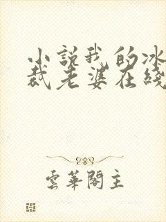 小说我的冰山总裁老婆在线阅读