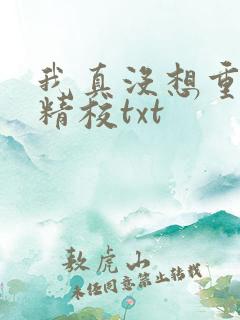 我真没想重生啊精校txt