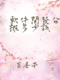 软件开发公司大概多少钱