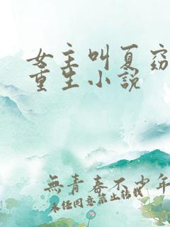 女主叫夏窈窈的重生小说