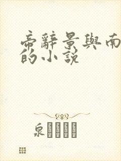 帝辞景与南知意的小说