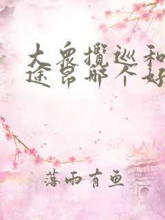 大众揽巡和大众途昂哪个好