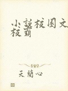 小说校园文男主校霸