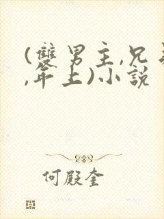 (双男主,兄弟,年上)小说