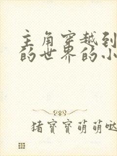 主角穿越到平凡的世界的小说