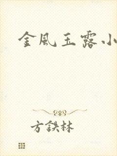 金风玉露小说版