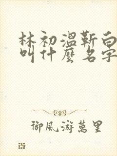 林初温靳白小说叫什么名字