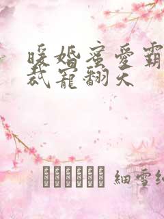 暖婚蜜爱霸道总裁宠翻天