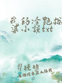 我的冷艳总裁老婆小说txt