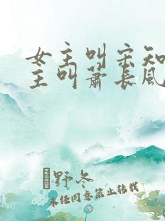 女主叫宋知婉男主叫萧长风的小说