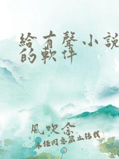 给有声小说配音的软件