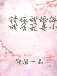 错嫁甜婚总裁的甜蜜宠妻小说