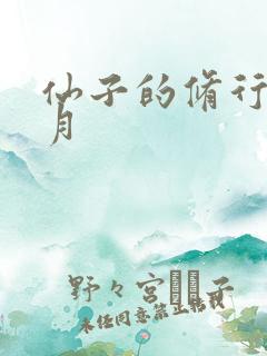 仙子的修行 曦月