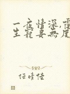 一夜情深,霍先生宠妻无度小说全部章节