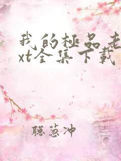 我的极品老婆txt全集下载