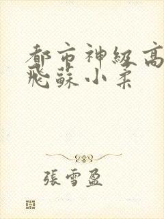 都市神级高手高飞苏小柔