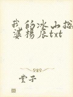 我的冰山总裁老婆杨辰txt