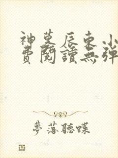 神墓辰东小说免费阅读无弹窗