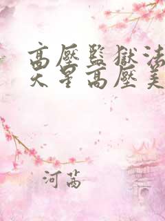 高压监狱法国满天星高压美版免费