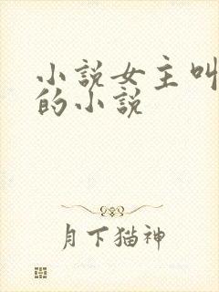 小说女主叫陈念的小说