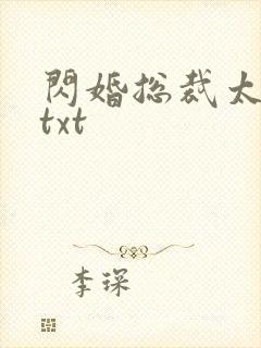 闪婚总裁太霸道txt