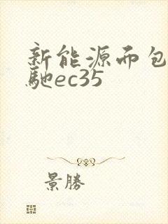 新能源面包车瑞驰ec35