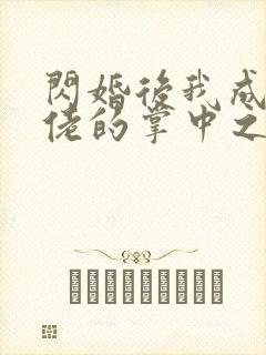 闪婚后我成了大佬的掌中之物未删减