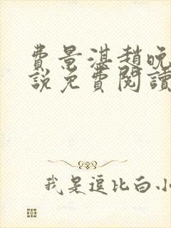 费景湛赵晚清小说免费阅读