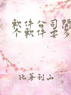 软件公司开发一个软件要多少钱