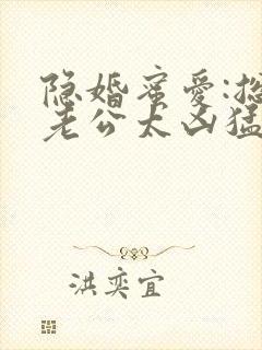 隐婚蜜爱:总裁老公太凶猛小说