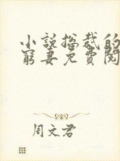 小说总裁的天价穷妻免费阅读